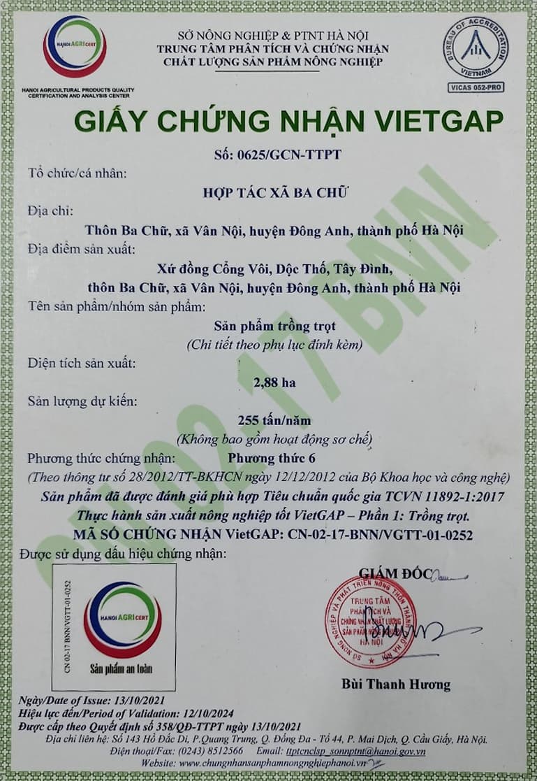 Giấy chứng nhận VIETGAP