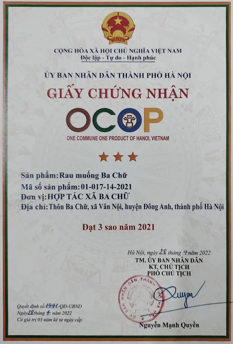 Giấy chứng nhận OCOP sản phẩm: Rau muống Ba Chữ