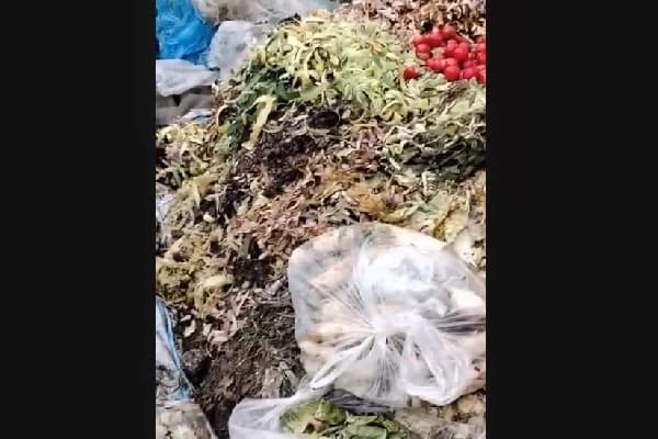 Minh họa kỹ thuật làm phân bón hữu cơ của HTX Ba Chữ
