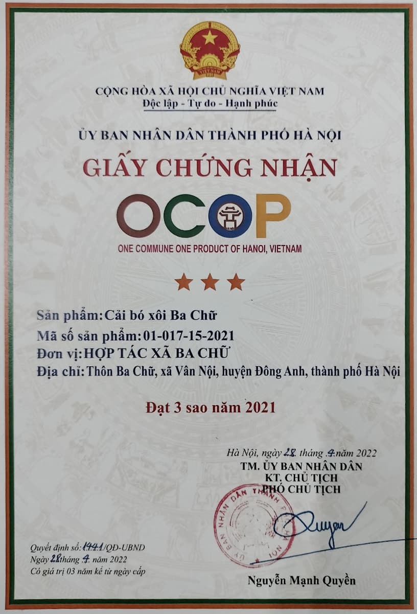 Giấy chứng nhận OCOP sản phẩm: Cải bó xôi Ba Chữ