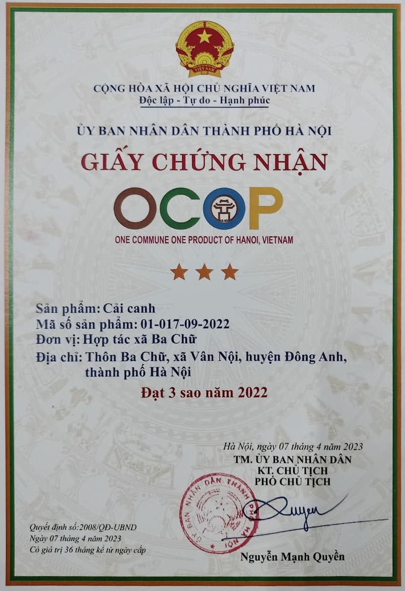 Giấy chứng nhận OCOP sản phẩm: Cải canh Ba Chữ