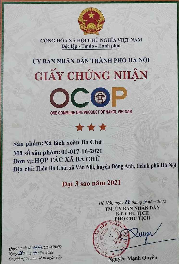 Giấy chứng nhận OCOP sản phẩm: Xà lách xoăn Ba Chữ
