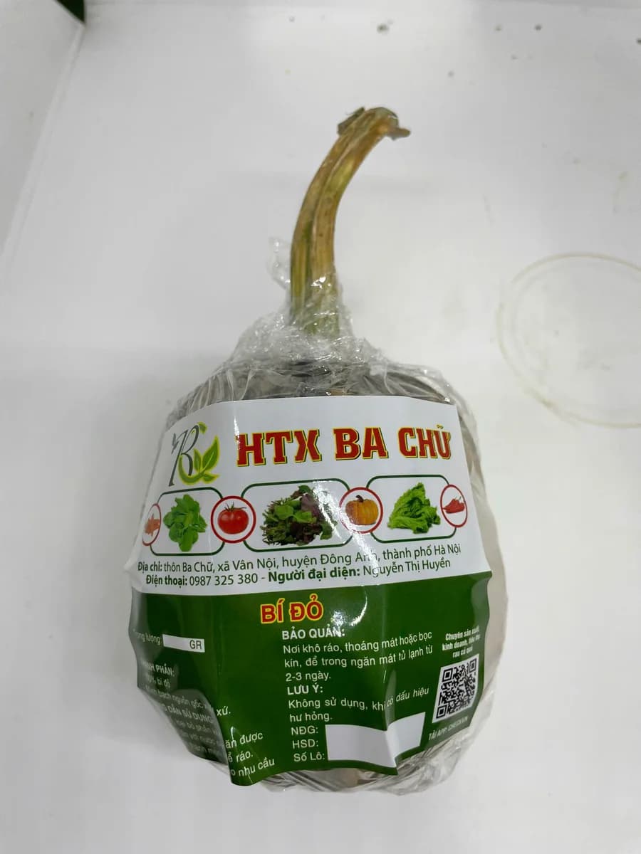 Bí đỏ
