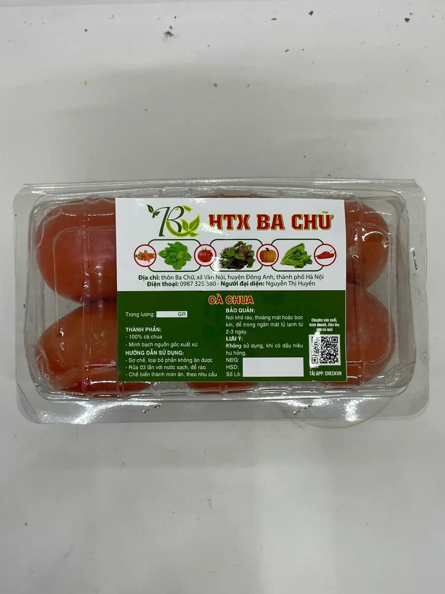 Cà chua