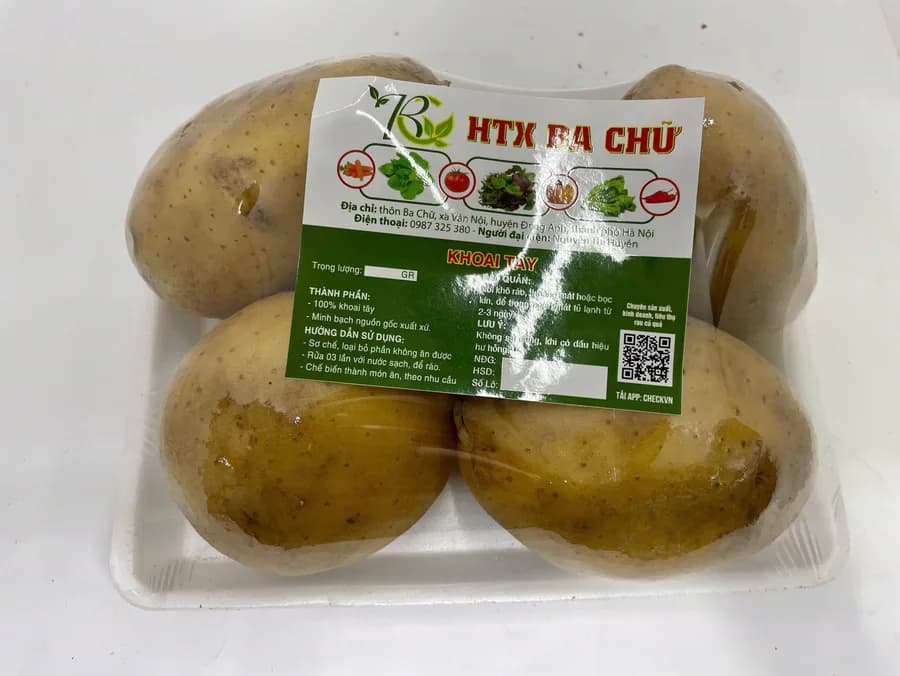 Khoai tây