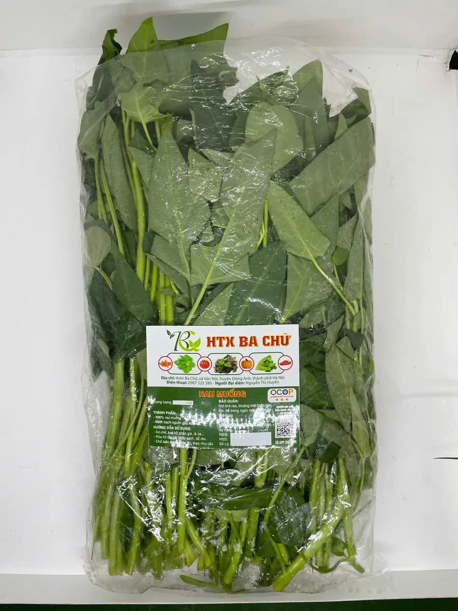 Rau muống