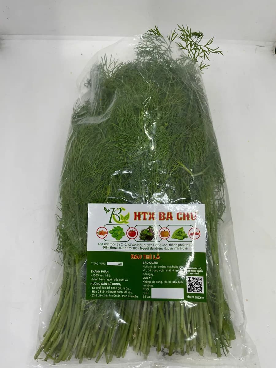Thì là